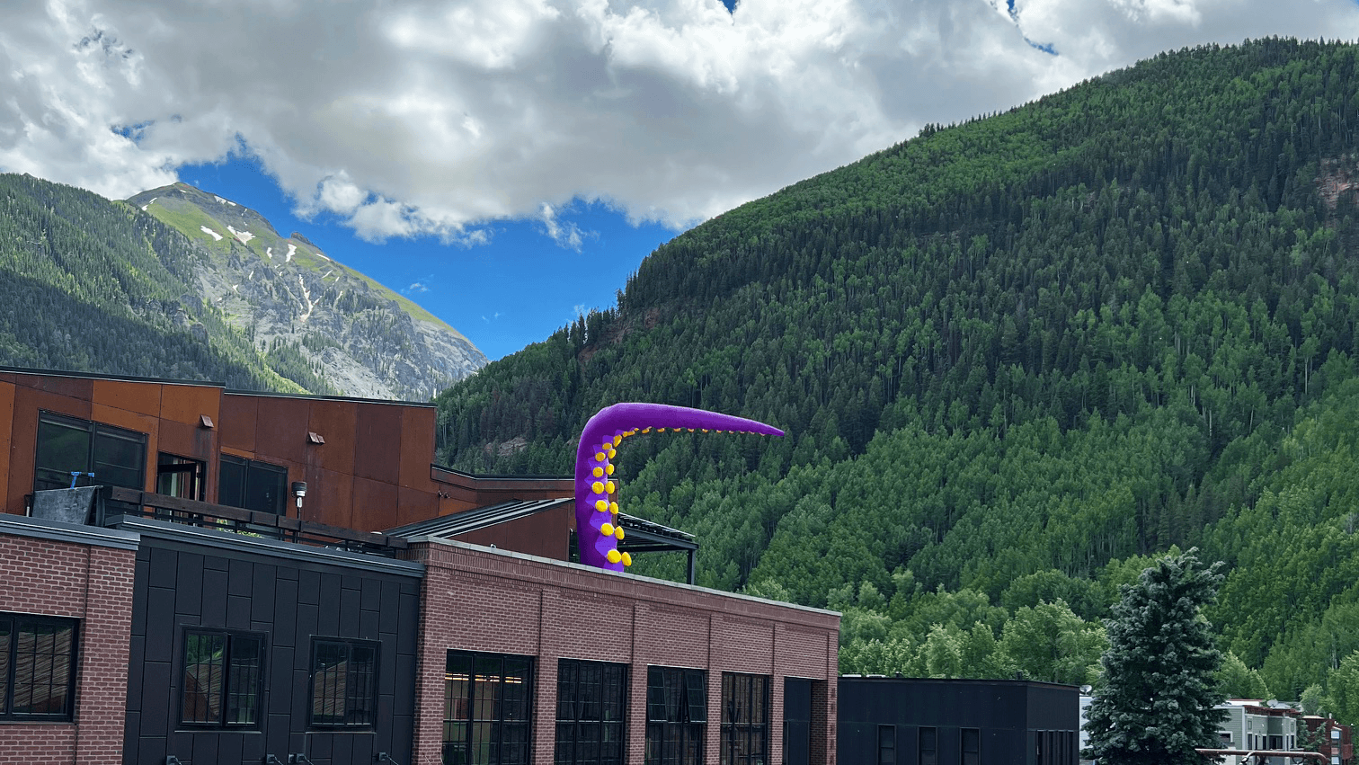Purple Tentacle