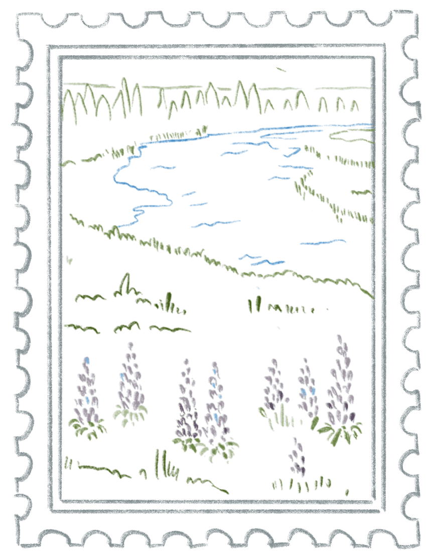 stamp illustration